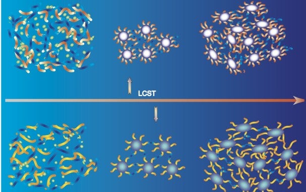 LCST_1