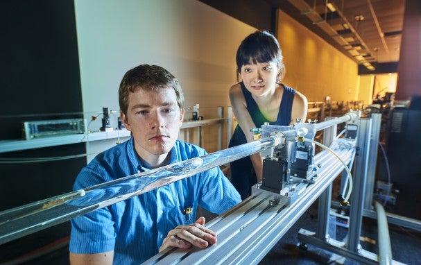 two researchers observing