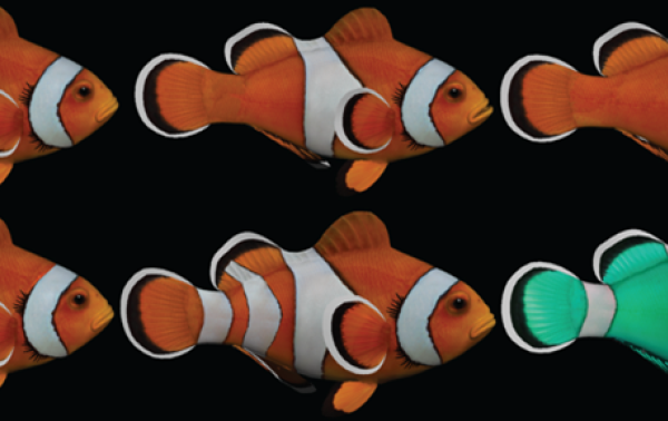 Virtual 3D models with artificial patterns that will be tested.
