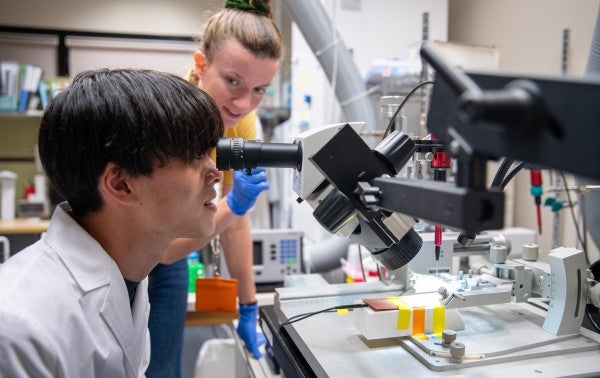 Photo of Keio summer camp lab experience