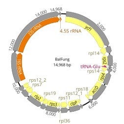 Figure11