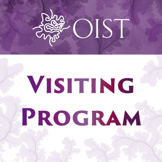 Visiting Program Logo