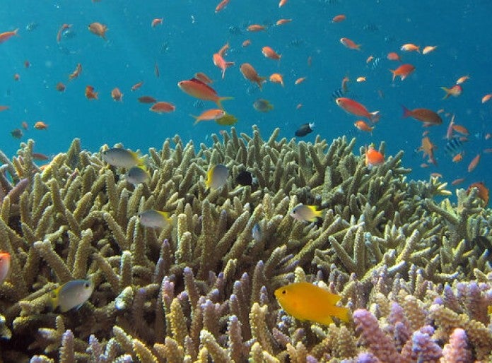 Oceans–and the impact of humans and climate change