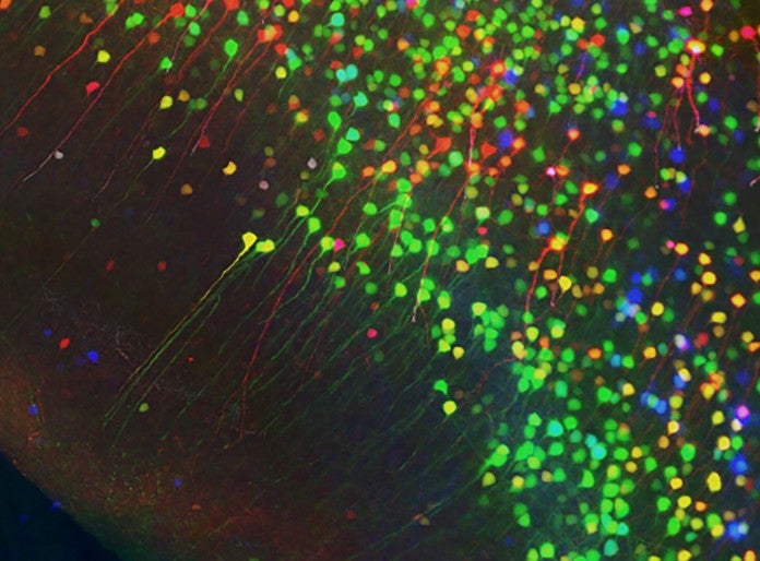 TSVP-Cosmic Neurons