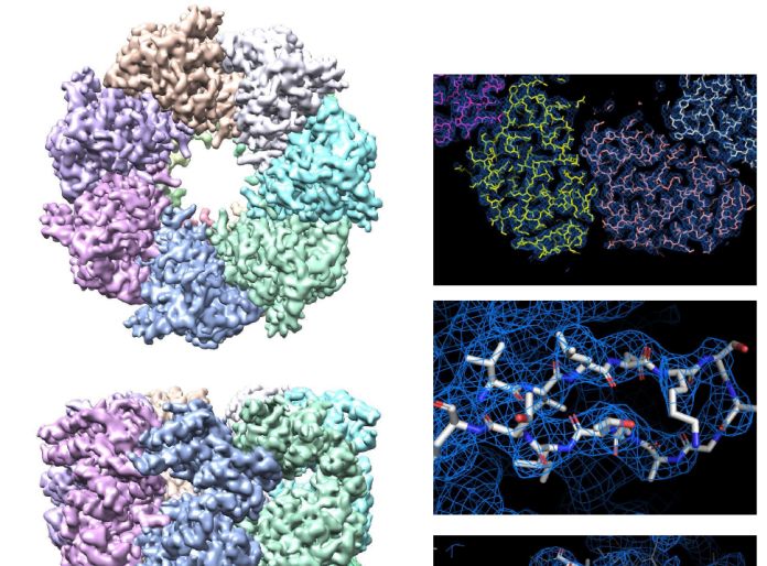 Cryo EM reconstruction and atomic model