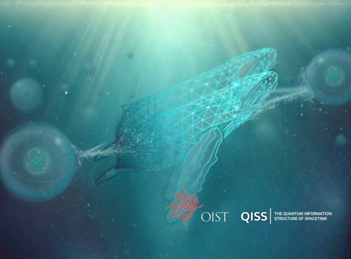 Image for the QRF 2025 conference