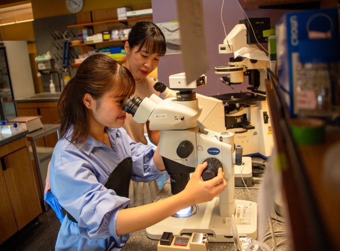 Centrosome Dynamics and Evolution Lab