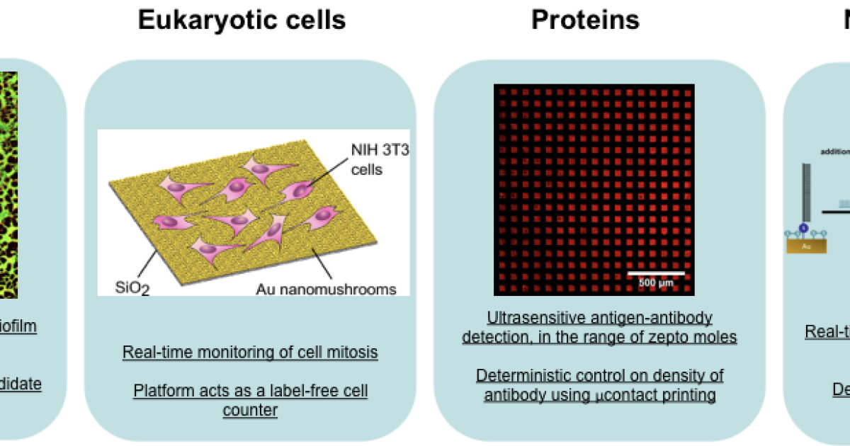 Mbnu Biotechnology 02 Okinawa Institute Of Science And Technology Oist 0810