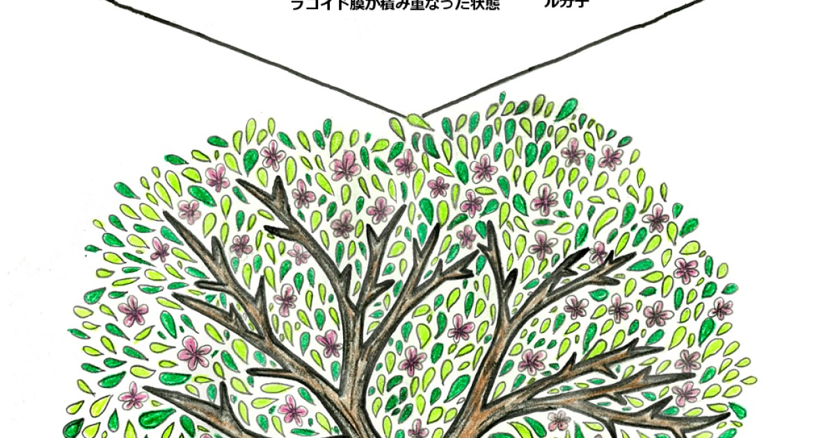 cherry blossom tree with roots drawing